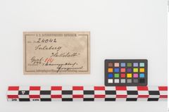 Etiketten zu Bronzeobjekt (NHMW-PRAE-024042)